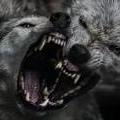 Ragingwolf